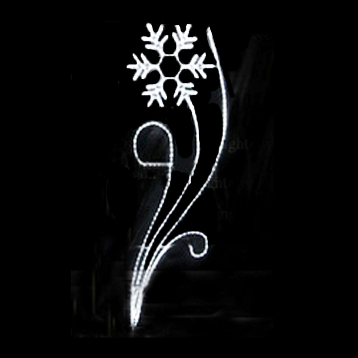 Festive Lights | Lights for all occasions