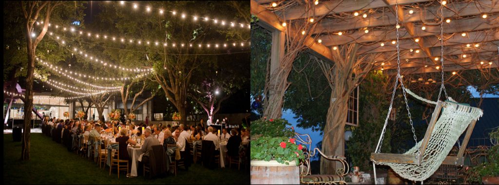 Festive Lights | Lights for all occasions