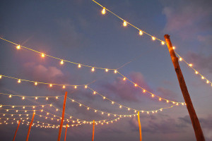 Festive Lights | Lights for all occasions