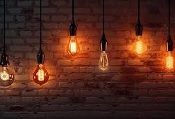 5m Naked Bulbs