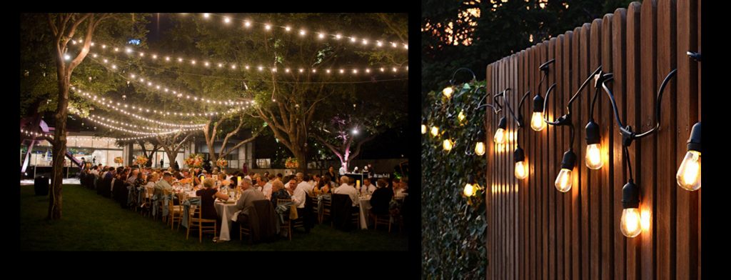 Festive Lights | Lights for all occasions