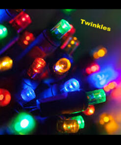 20m Rubber Coloured LED Fairy Lights