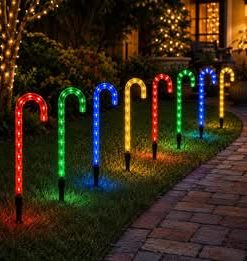 Coloured Candy Canes