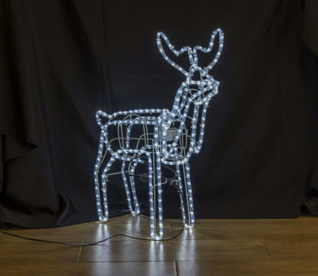 Festive Lights | Lights for all occasions