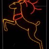 Reindeer