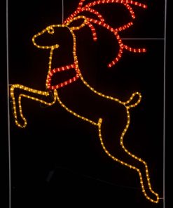 Reindeer