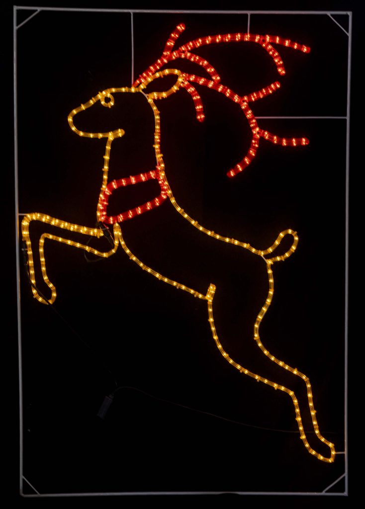 Festive Lights | Lights for all occasions
